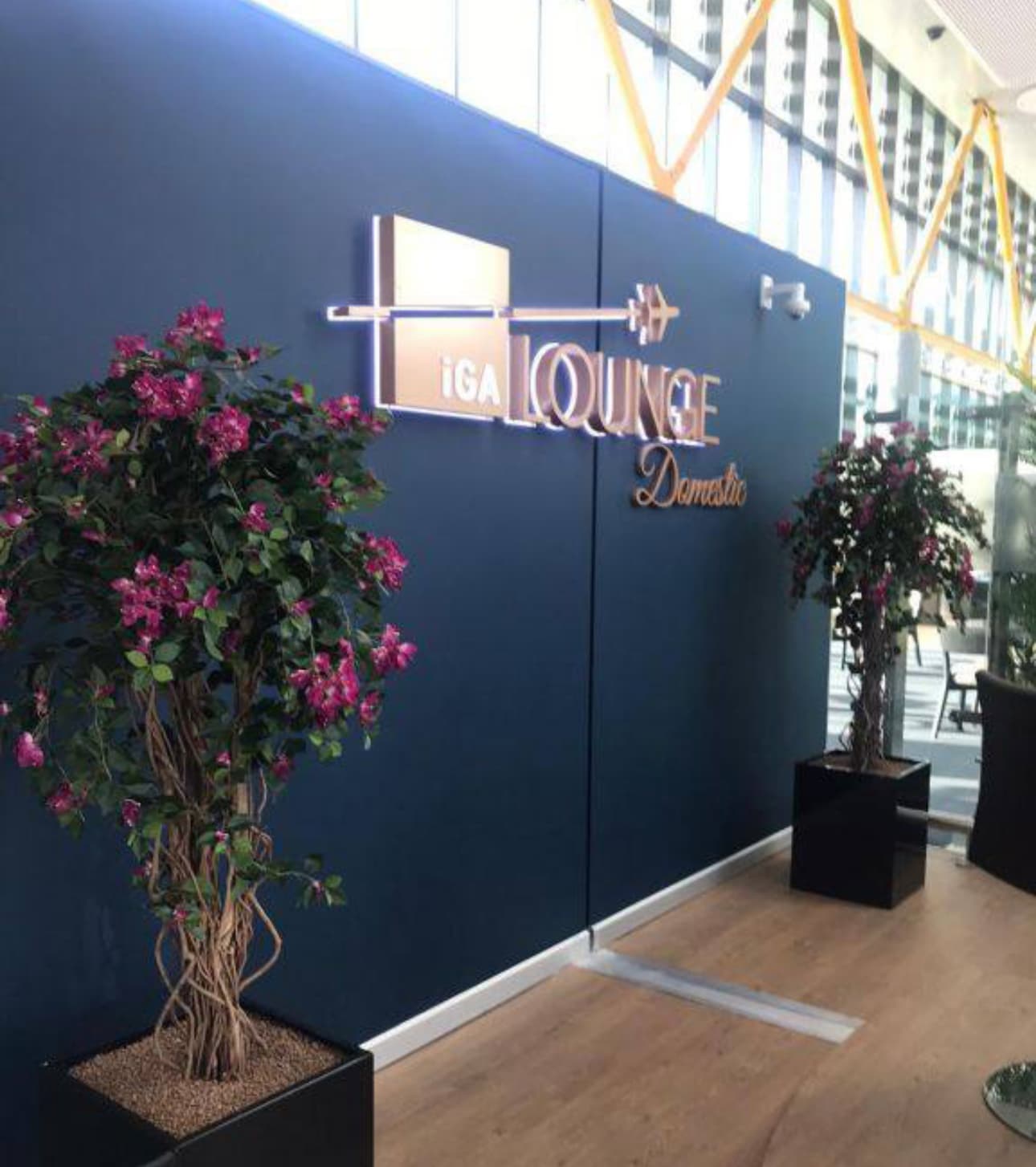 iGA Lounge lounge at IST photo 4